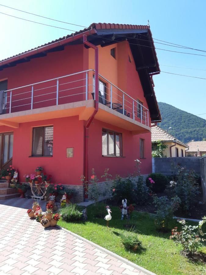 Vila Georgeta Zărneşti Esterno foto