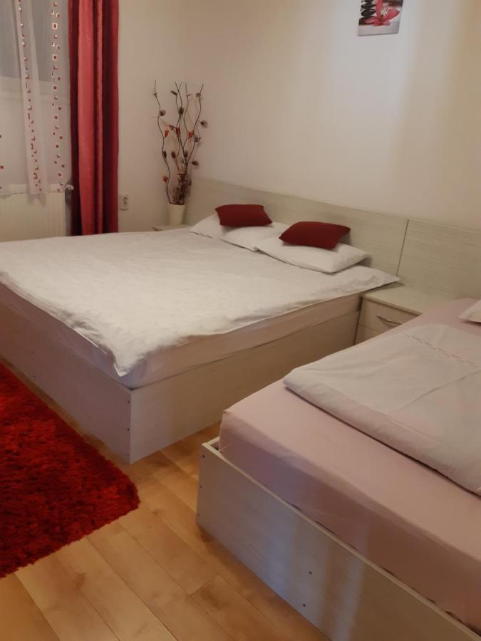 Vila Georgeta Zărneşti Esterno foto