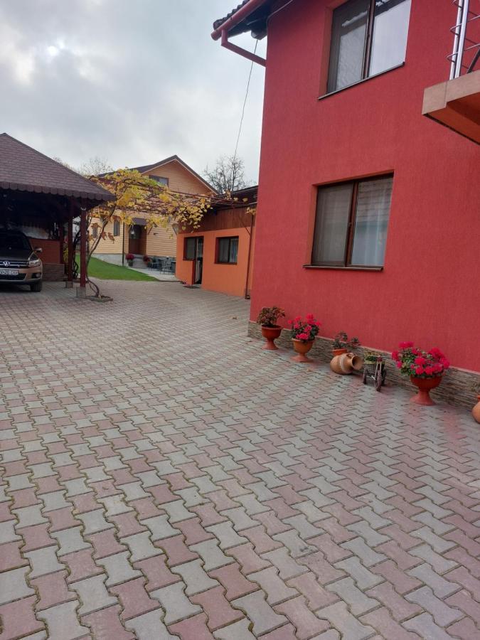 Vila Georgeta Zărneşti Esterno foto