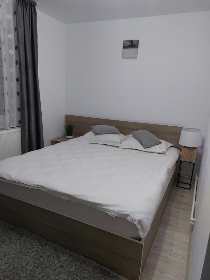 Vila Georgeta Zărneşti Esterno foto