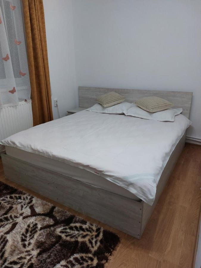 Vila Georgeta Zărneşti Esterno foto