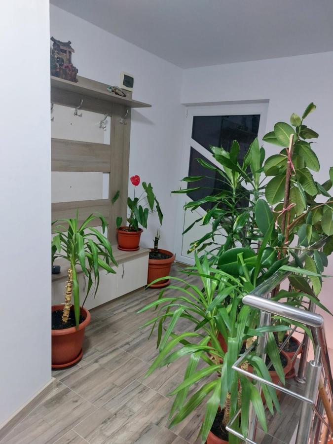 Vila Georgeta Zărneşti Esterno foto