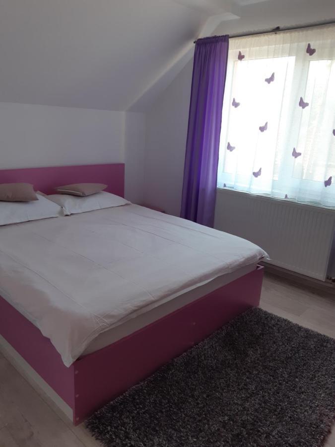 Vila Georgeta Zărneşti Esterno foto