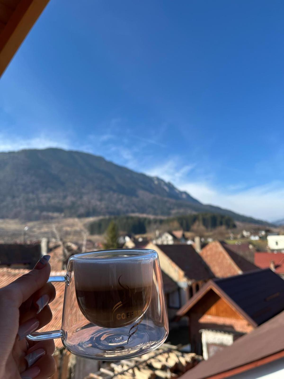 Vila Georgeta Zărneşti Esterno foto