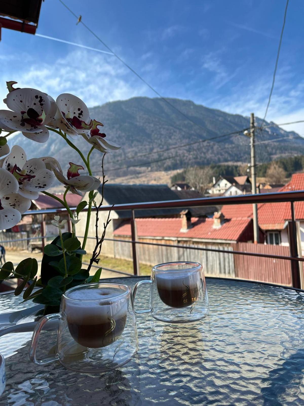 Vila Georgeta Zărneşti Esterno foto
