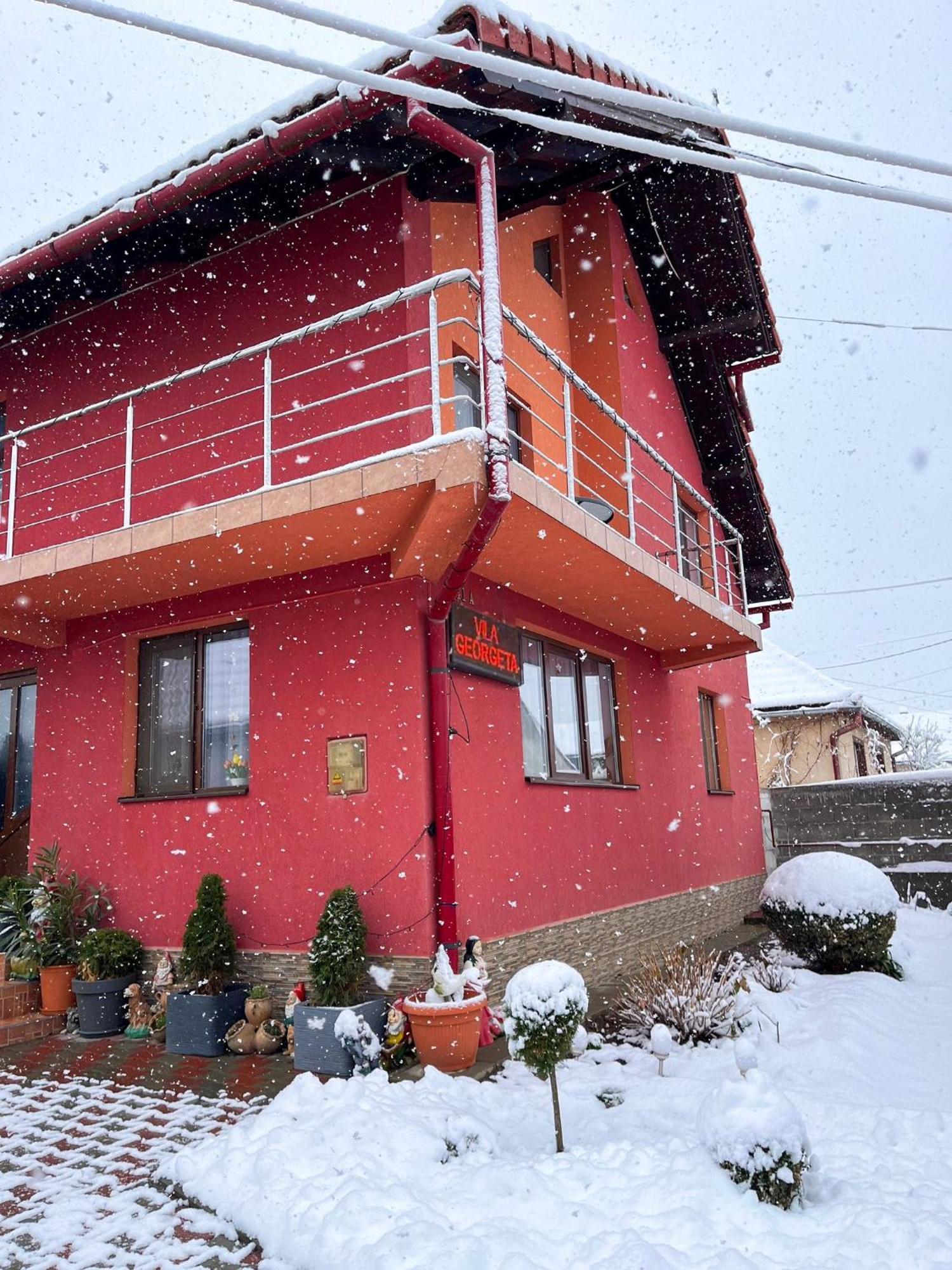Vila Georgeta Zărneşti Esterno foto